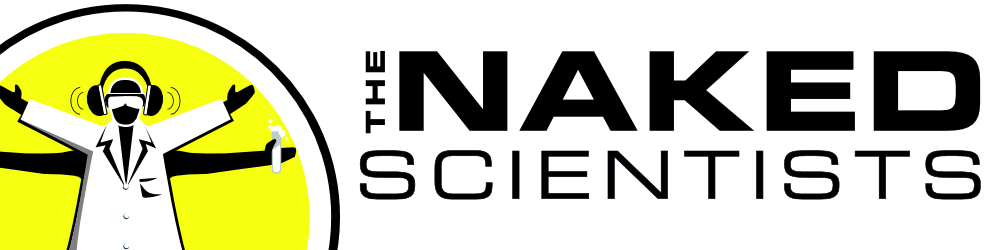 ns-text-logo-wide-png