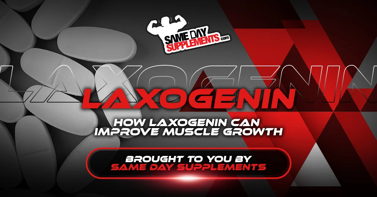 laxogenin-blog-banner-webp-webp